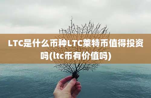 LTC是什么币种LTC莱特币值得投资吗(ltc币有价值吗)