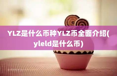 YLZ是什么币种YLZ币全面介绍(yleld是什么币)