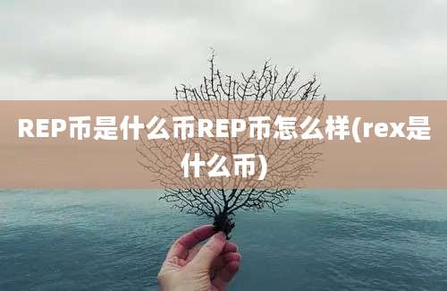 REP币是什么币REP币怎么样(rex是什么币)