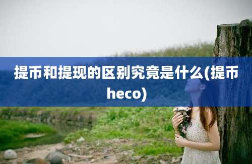 提币和提现的区别究竟是什么(提币heco)