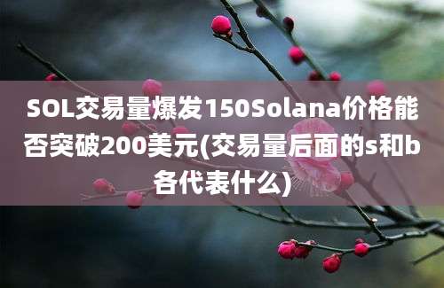 SOL交易量爆发150Solana价格能否突破200美元(交易量后面的s和b各代表什么)