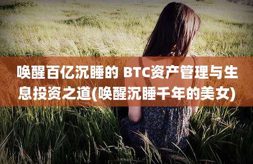 唤醒百亿沉睡的 BTC资产管理与生息投资之道(唤醒沉睡千年的美女)