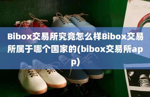 Bibox交易所究竟怎么样Bibox交易所属于哪个国家的(bibox交易所app)