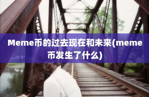 Meme币的过去现在和未来(meme币发生了什么)