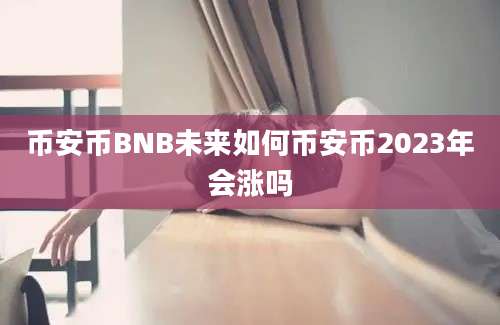 币安币BNB未来如何币安币2023年会涨吗