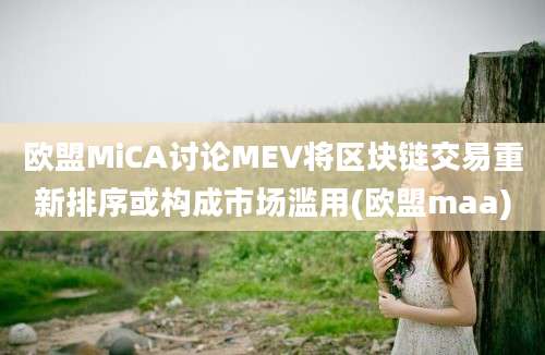 欧盟MiCA讨论MEV将区块链交易重新排序或构成市场滥用(欧盟maa)