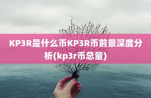 KP3R是什么币KP3R币前景深度分析(kp3r币总量)