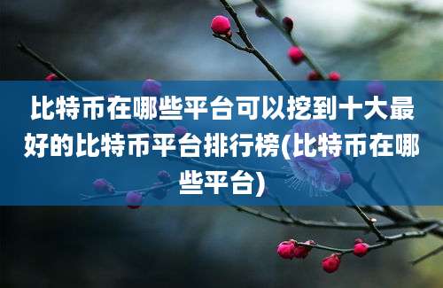 比特币在哪些平台可以挖到十大最好的比特币平台排行榜(比特币在哪些平台)