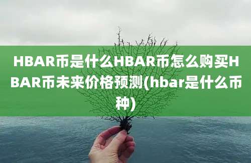 HBAR币是什么HBAR币怎么购买HBAR币未来价格预测(hbar是什么币种)