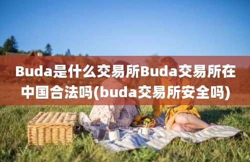 Buda是什么交易所Buda交易所在中国合法吗(buda交易所安全吗)