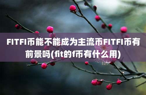 FITFI币能不能成为主流币FITFI币有前景吗(fit的f币有什么用)