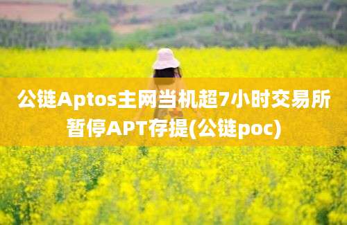 公链Aptos主网当机超7小时交易所暂停APT存提(公链poc)