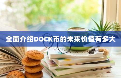 全面介绍DOCK币的未来价值有多大