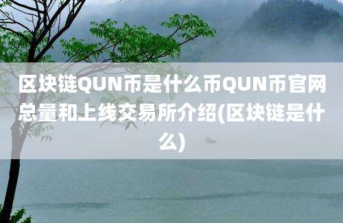 区块链QUN币是什么币QUN币官网总量和上线交易所介绍(区块链是什么)