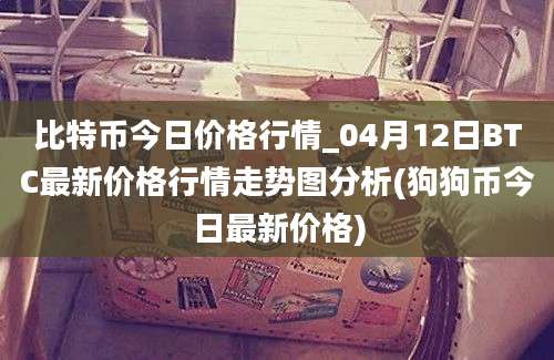 比特币今日价格行情_04月12日BTC最新价格行情走势图分析(狗狗币今日最新价格)