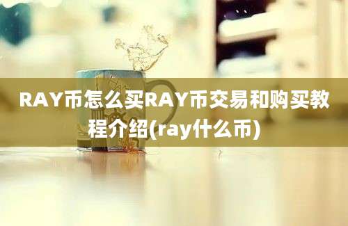 RAY币怎么买RAY币交易和购买教程介绍(ray什么币)