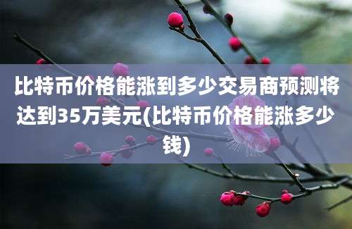 比特币价格能涨到多少交易商预测将达到35万美元(比特币价格能涨多少钱)