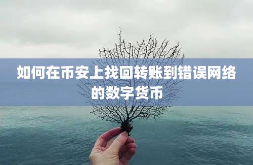 如何在币安上找回转账到错误网络的数字货币