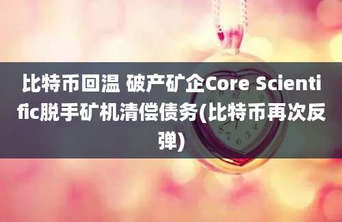 比特币回温 破产矿企Core Scientific脱手矿机清偿债务(比特币再次反弹)