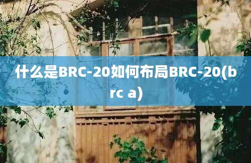 什么是BRC-20如何布局BRC-20(brc a)