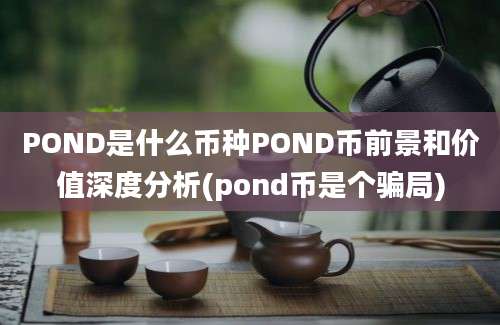 POND是什么币种POND币前景和价值深度分析(pond币是个骗局)