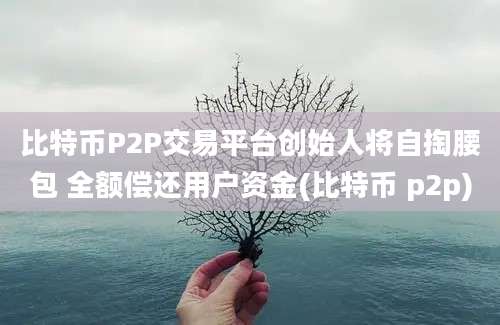 比特币P2P交易平台创始人将自掏腰包 全额偿还用户资金(比特币 p2p)