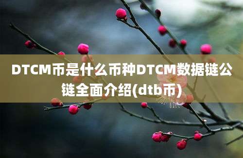 DTCM币是什么币种DTCM数据链公链全面介绍(dtb币)