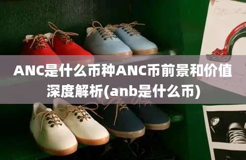 ANC是什么币种ANC币前景和价值深度解析(anb是什么币)