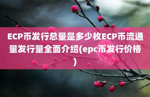 ECP币发行总量是多少枚ECP币流通量发行量全面介绍(epc币发行价格)