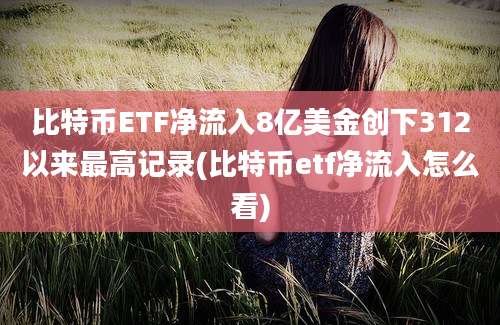 比特币ETF净流入8亿美金创下312以来最高记录(比特币etf净流入怎么看)