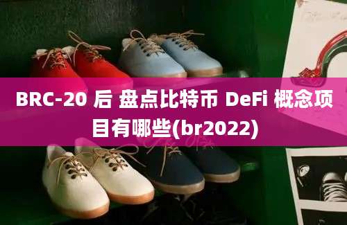 BRC-20 后 盘点比特币 DeFi 概念项目有哪些(br2022)