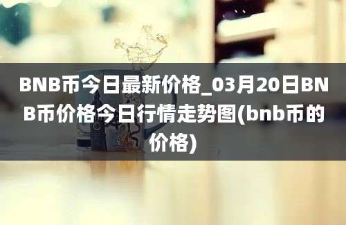 BNB币今日最新价格_03月20日BNB币价格今日行情走势图(bnb币的价格)