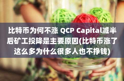 比特币为何不涨 QCP Capital减半后矿工投降是主要原因(比特币涨了这么多为什么很多人也不挣钱)