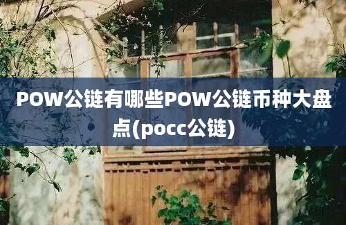 POW公链有哪些POW公链币种大盘点(pocc公链)