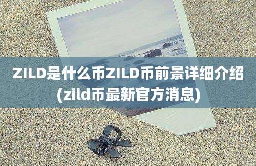 ZILD是什么币ZILD币前景详细介绍(zild币最新官方消息)