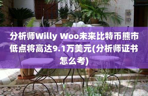 分析师Willy Woo未来比特币熊市低点将高达9.1万美元(分析师证书怎么考)