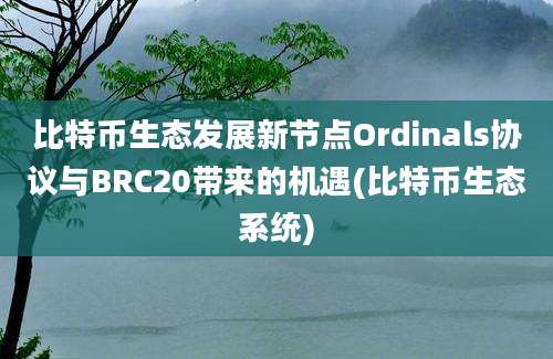 比特币生态发展新节点Ordinals协议与BRC20带来的机遇(比特币生态系统)