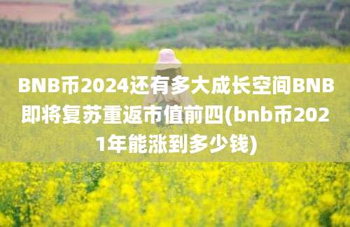 BNB币2024还有多大成长空间BNB即将复苏重返市值前四(bnb币2021年能涨到多少钱)