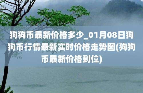 狗狗币最新价格多少_01月08日狗狗币行情最新实时价格走势图(狗狗币最新价格到位)