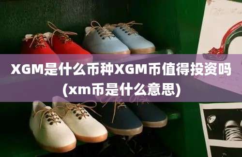 XGM是什么币种XGM币值得投资吗(xm币是什么意思)