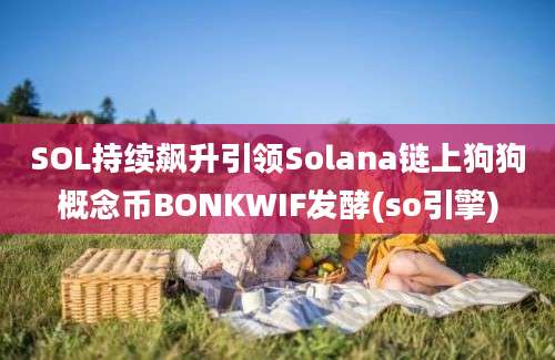 SOL持续飙升引领Solana链上狗狗概念币BONKWIF发酵(so引擎)