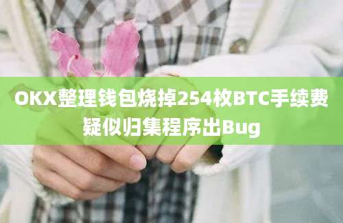 OKX整理钱包烧掉254枚BTC手续费疑似归集程序出Bug