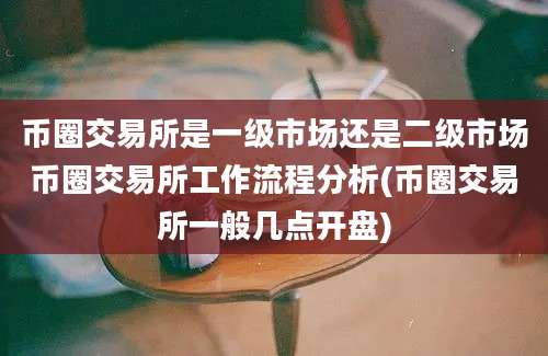 币圈交易所是一级市场还是二级市场币圈交易所工作流程分析(币圈交易所一般几点开盘)