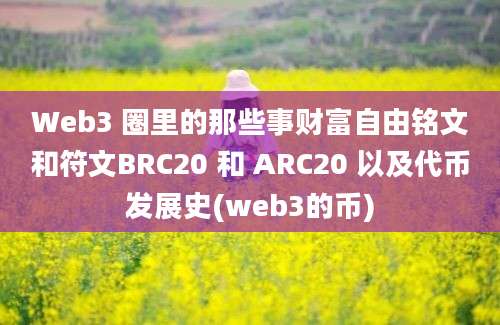 Web3 圈里的那些事财富自由铭文和符文BRC20 和 ARC20 以及代币发展史(web3的币)