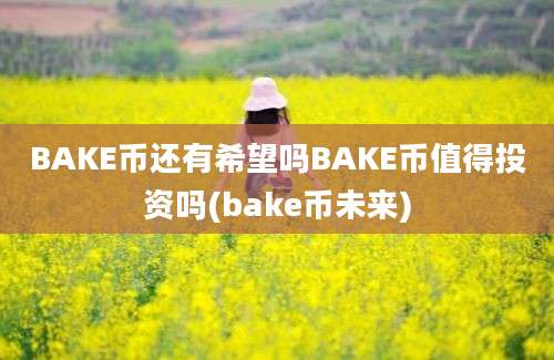 BAKE币还有希望吗BAKE币值得投资吗(bake币未来)