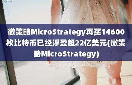 微策略MicroStrategy再买14600枚比特币已经浮盈超22亿美元(微策略MicroStrategy)