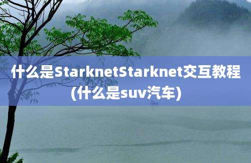 什么是StarknetStarknet交互教程(什么是suv汽车)