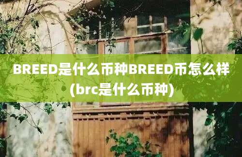 BREED是什么币种BREED币怎么样(brc是什么币种)