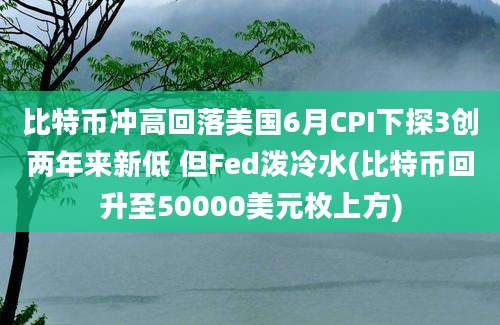 比特币冲高回落美国6月CPI下探3创两年来新低 但Fed泼冷水(比特币回升至50000美元枚上方)