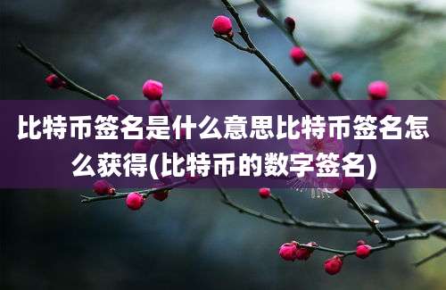 比特币签名是什么意思比特币签名怎么获得(比特币的数字签名)